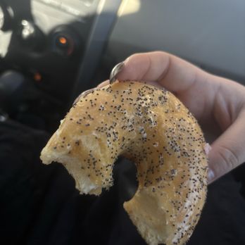 Donut Maker - Lemon poppy seed donut - Donuts Near Me - Greenwood Village, Colorado Donut Maker - Lemon poppy seed donut - Donuts Near Me - Greenwood Village, Colorado