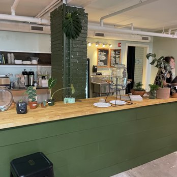 Terrarium - Nurseries & Gardening Near Me - Portland, Maine