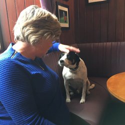 The Auld House - Doggy friends being made