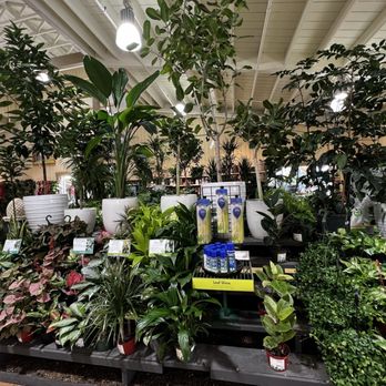 Armstrong Garden Centers - Nurseries & Gardening Near Me - Newport Beach, California
