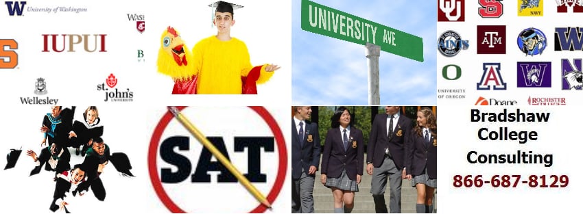 Bradshaw College Consulting - reading tutor in Crown Pointe, IN