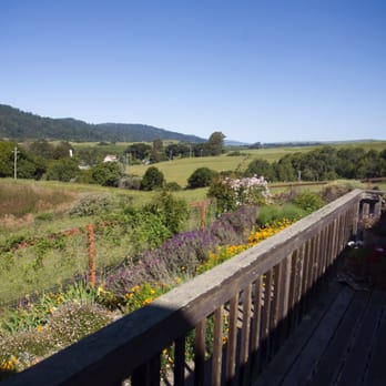 Roundstone Farm - Beautiful view from the back deck. - Hotels Near Me - Olema, California Roundstone Farm - Beautiful view from the back deck. - Hotels Near Me - Olema, California