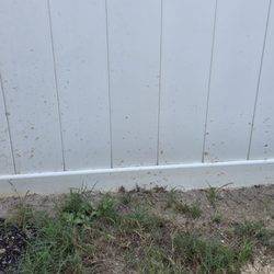 No Pressure House Washing - Sand all over my fence
