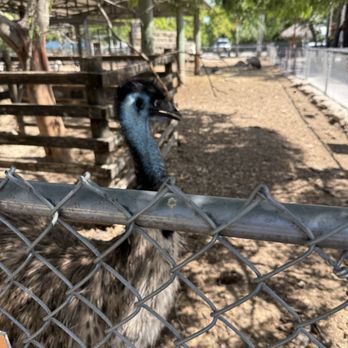 Robert Is Here - Fruits & Veggies Near Me - Homestead, Florida Robert Is Here - Fruits & Veggies Near Me - Homestead, Florida