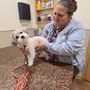Photo of Streetsboro Veterinary Center