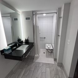 Hotel Indigo Rochester - Mayo Clinic Area - Accessible bathroom