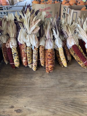 Pee Dee State Farmers Market by null