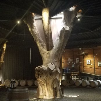 Bruma - Inside dead tree that goes through the roof of wineey - Wineries Near Me - Ensenada, BCN