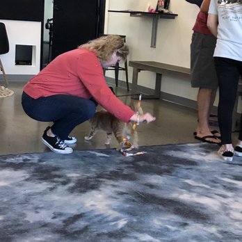 Cat & Craft - Coffee & Tea Near Me - Vista, California Cat & Craft - Coffee & Tea Near Me - Vista, California