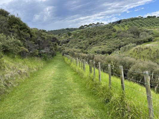 Waiheke Island by null