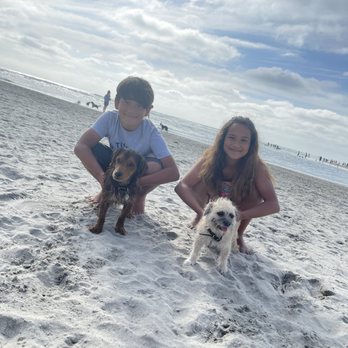 Del Mar North Beach - kids and their pups - Beaches Near Me - Del Mar, California Del Mar North Beach - kids and their pups - Beaches Near Me - Del Mar, California