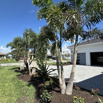 Younkman's Bamboo Gardens - Landscaping Near Me - Sarasota, Florida Younkman's Bamboo Gardens - Landscaping Near Me - Sarasota, Florida