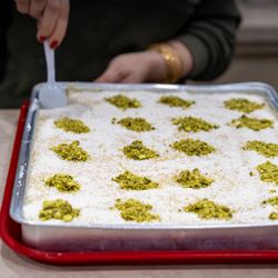 Shami Falafel