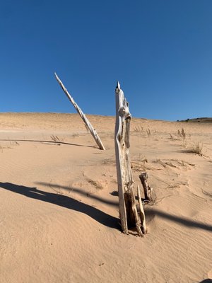 Sleeping Bear Dunes National Lakeshore by null