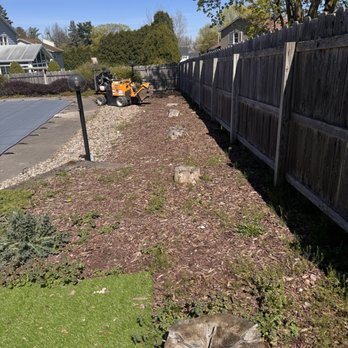 Brancato's Stump Grinding - Tree Services Near Me - Bridgeport, New York Brancato's Stump Grinding - Tree Services Near Me - Bridgeport, New York