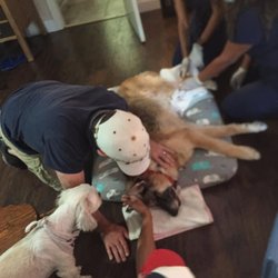 Mesa Mobile Veterinary Clinic - All their loved ones can be present
