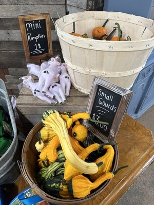 Big Red Orchard by null