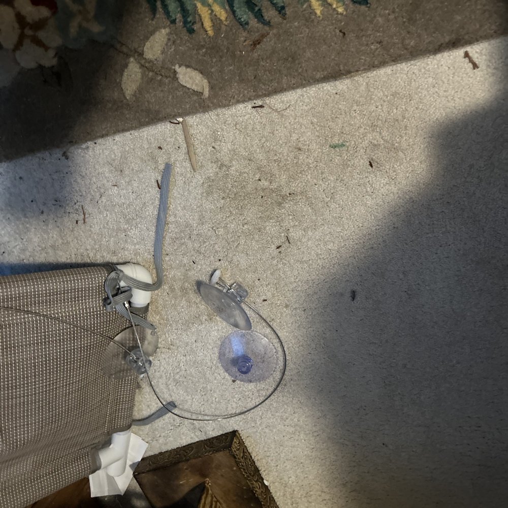 Louis Auto Glass - Dirt and debris on carpet. - Auto Glass Services Near Me - Lynden, Washington