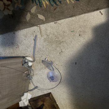 Louis Auto Glass - Dirt and debris on carpet. - Auto Glass Services Near Me - Lynden, Washington Louis Auto Glass - Dirt and debris on carpet. - Auto Glass Services Near Me - Lynden, Washington