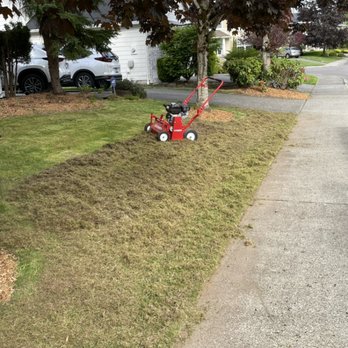 Panda Landscaping - Dethaching - Landscaping Near Me Panda Landscaping - Dethaching - Landscaping Near Me