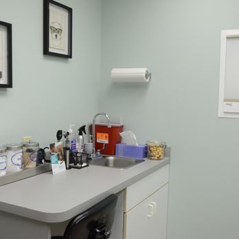 Village Veterinary Care - Dog Exam Room - Veterinarians Near Me - Merton, Wisconsin Village Veterinary Care - Dog Exam Room - Veterinarians Near Me - Merton, Wisconsin