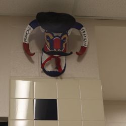 Spring Ford Area School District - Language hallway