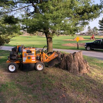 Stumphog - Working at 1 of 7 stumps a Longshore Golf Course located in Westport, CT on a beautiful April afternoon - Tree Services Near Me Stumphog - Working at 1 of 7 stumps a Longshore Golf Course located in Westport, CT on a beautiful April afternoon - Tree Services Near Me