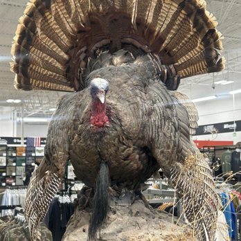 Sportsman's Warehouse - Ain't he cute? - Sports Wear Near Me - Murfreesboro, Tennessee Sportsman's Warehouse - Ain't he cute? - Sports Wear Near Me - Murfreesboro, Tennessee