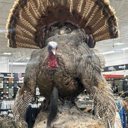 Sportsman's Warehouse - Ain't he cute?