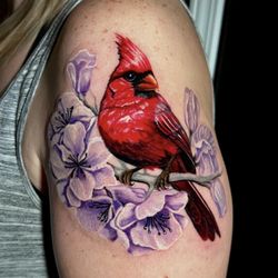 Daredevil Tattoo Studio