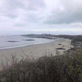 Año Nuevo State Park - Beaches Near Me - Pescadero, California