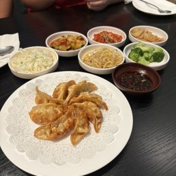 Fried Dumplings Fried Dumplings