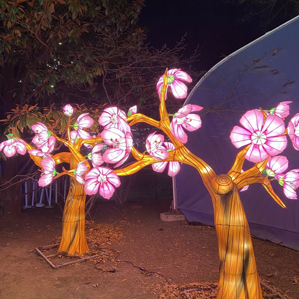 ZooLights - Zoos Near Me - Washington, DC, District of Columbia