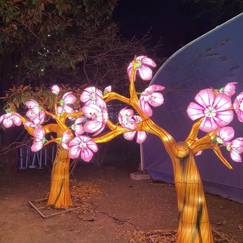 ZooLights - Zoos Near Me - Washington, DC, District of Columbia
