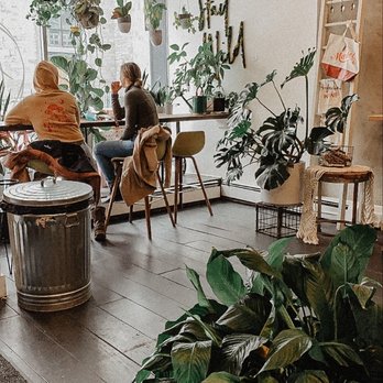 Liza's - Seating area with plants - Juice Bars & Smoothies Near Me - Troy, New York