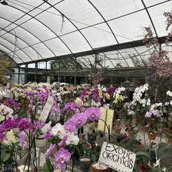 A Heavenly Garden