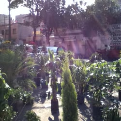 Vivero - Parte de la fachada; comercio de camellón