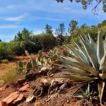 Sugarloaf Trailhead - Blue Agave. - Hiking Near Me