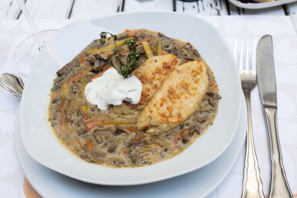 Kutschker 44 by null