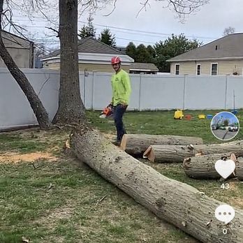 Anderson Tree Services - Tree Services Near Me - Islip, New York Anderson Tree Services - Tree Services Near Me - Islip, New York