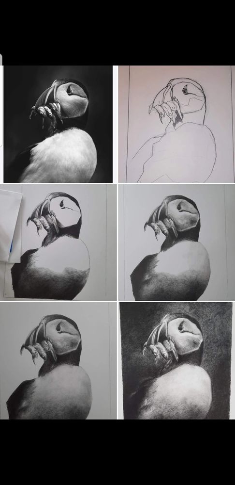 Bay Area Art School Logo