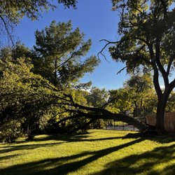 Jennings' Tree Service