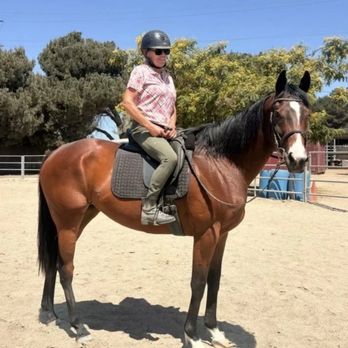 Dream Hill Farms - Hazel with my professional trainer and in amazing condition just a few days before being sent back to Linda. - Horseback Riding Near Me - Murrieta, California