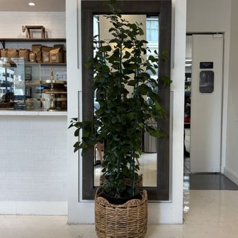 Sandcouch Cafe - Coffee & Tea Near Me - Los Angeles, California Sandcouch Cafe - Coffee & Tea Near Me - Los Angeles, California
