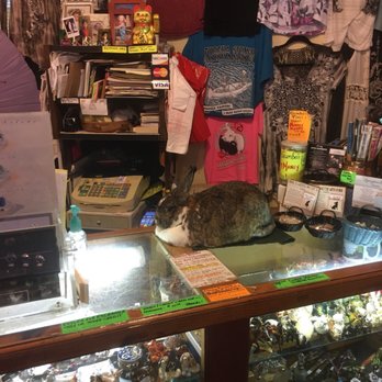 East by West - Gift Shops Near Me - Eureka Springs, Arkansas