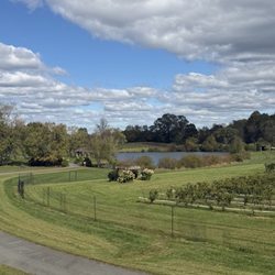 Narmada Winery