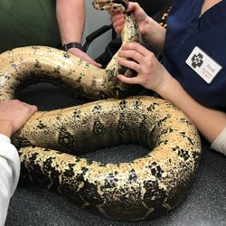 Animal Medical Center of Ontario