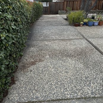 Supreme Power Wash - Front yard before - Pressure Washers Near Me - San Jose, California