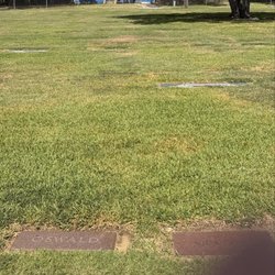 Lee Harvey Oswald's Grave - The blue house I. The distance is to the west of gravesite. Market next door, for Nick Beef is empty.