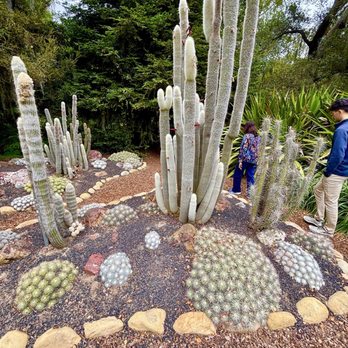 Lotusland - Cactus garden - Botanical Gardens Near Me - Santa Barbara, California